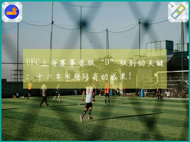 UFC上海赛事晋级“D”级别的关键：十六年市场培育的成果！