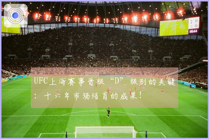 UFC上海赛事晋级“D”级别的关键：十六年市场培育的成果！